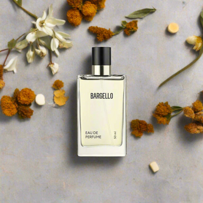 BARGELLO 671 унисекс 50 мл ДУХИ EDP ДРЕВЕСНЫЙ